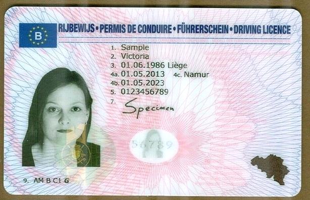 Belgian drivers license