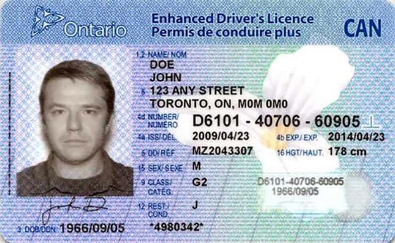 Canadian drivers license