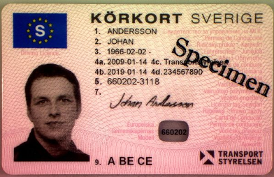 Swedish drivers license